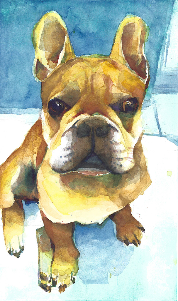 Watercolor portrait of Knuckles, 2020.