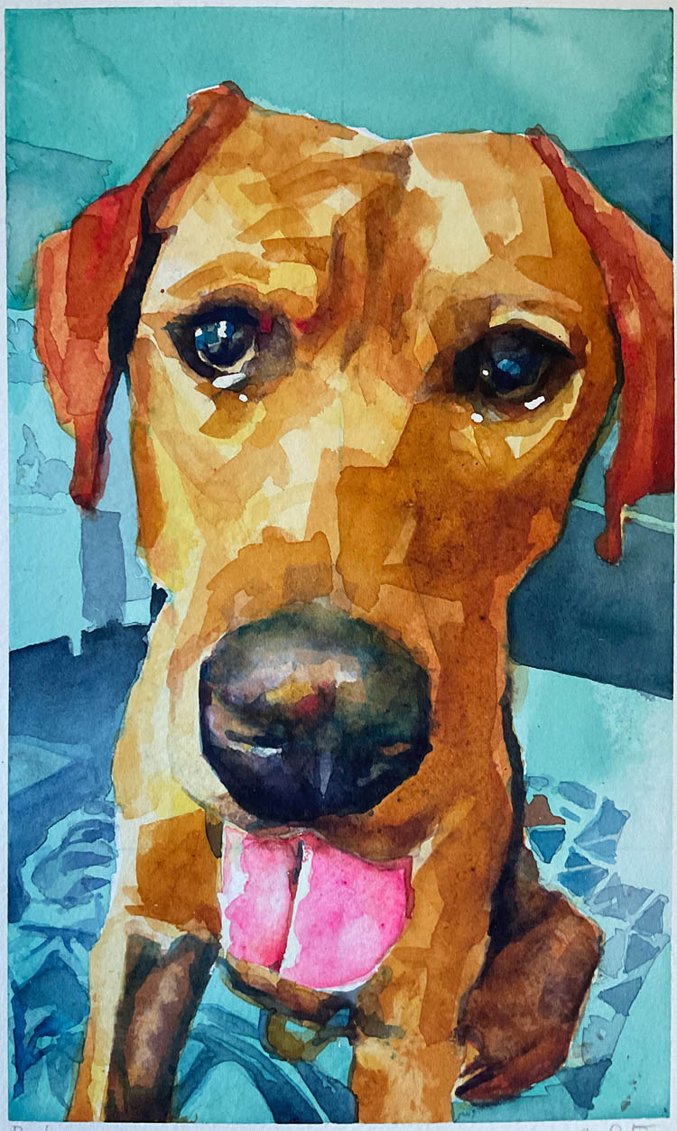 Watercolor portrait of a hound with long ears, looking forward.