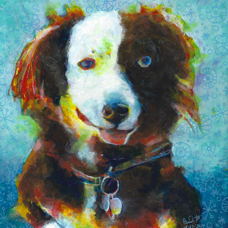 Watercolor portrait of a black-and-white border collie.